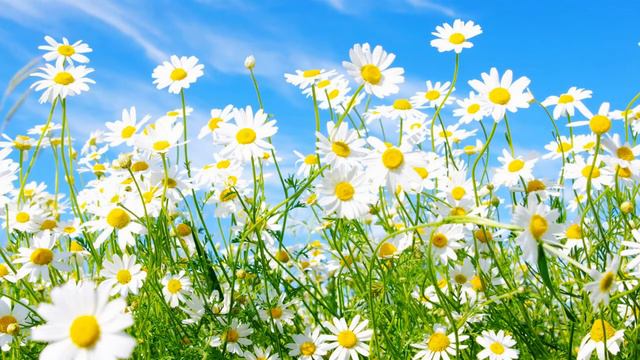 Urok 10 4 смотреть онлайн