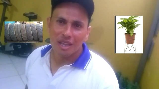 Tudo ok. Parodia...fora Dengue смотреть онлайн