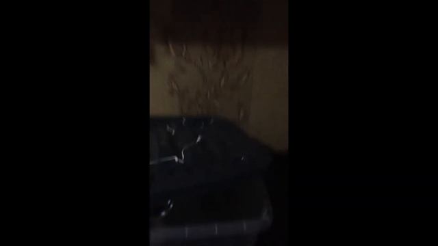 Бюджетная клетка для Крысы за 500 рублей ► Дешевая клетка для Крысы своими руками смотреть онлайн