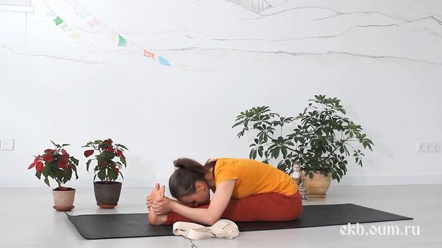 Йога для начинающих: отстройка асан (пашчимотанасана) смотреть онлайн