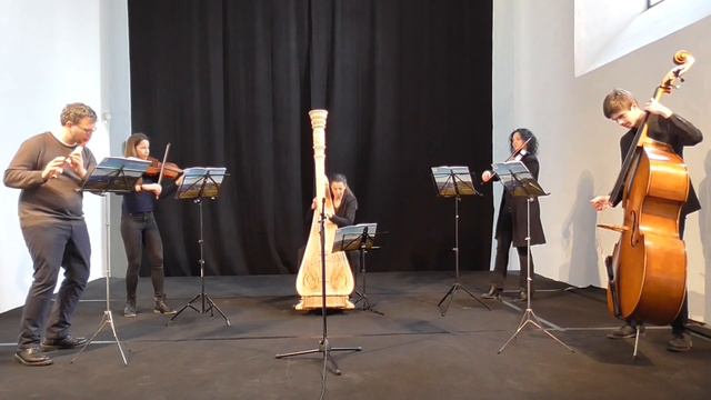 "Lady Wrixon" by Turlough O`Carolan (1670-1738) arr. Patrick Pfoess смотреть онлайн