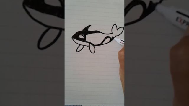 How to Draw an ORCA WHALE Step by Step || Easy Drawing смотреть онлайн