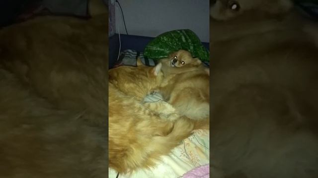 Вечерние ванны перед сном смотреть онлайн