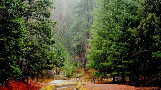 3D звук дождя.Слушать в наушниках!