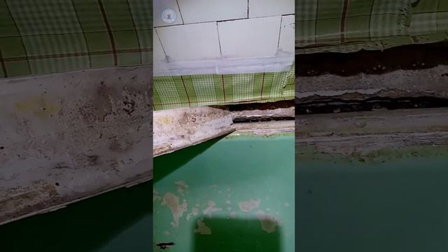 Знаменитая улица Петербурга! Реставрация ванн. Наливной акрил смотреть онлайн