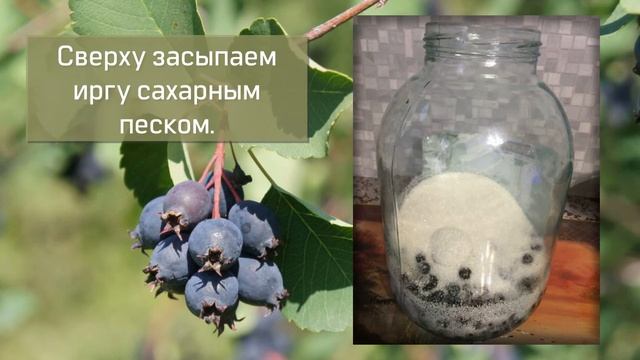 Домашний кулинар