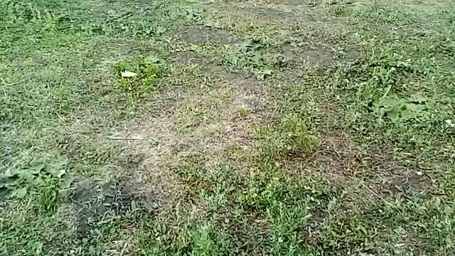 Ремонт и обслуживание пресс подборщика 0870 смотреть онлайн