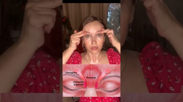 Приемы от морщины гордецов, которые формирует спазмированная мышца процерус. смотреть онлайн