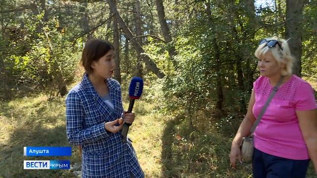 Сезон тихой охоты в Крыму: секреты грибников и опасные виды смотреть онлайн