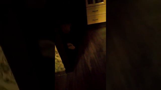 MOV 0156 смотреть онлайн
