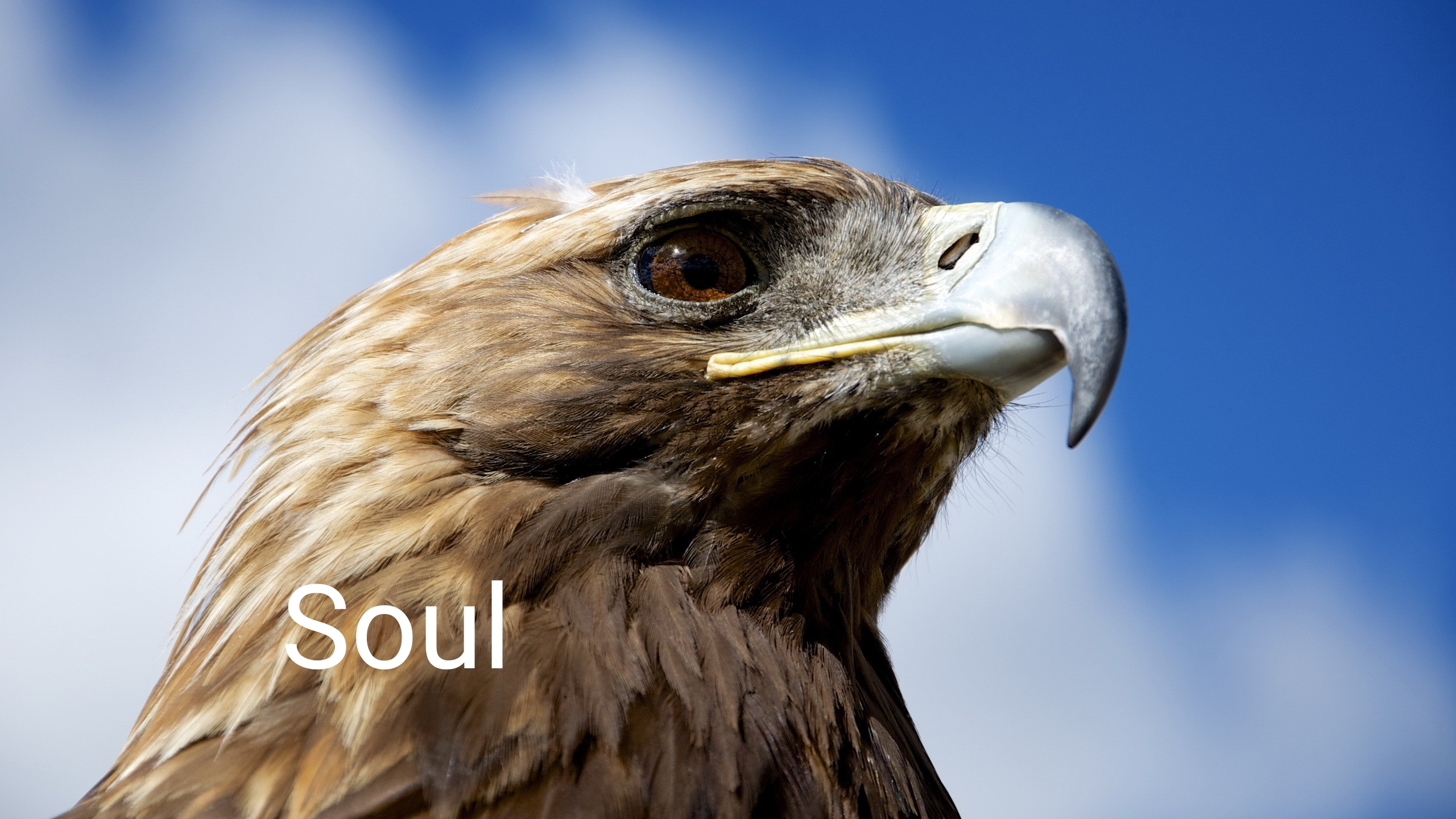 DJ Artak, Sone Silver - Soul