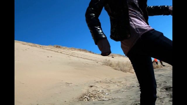 Wake up! Команда Матрица. Stop-Motion. Весенний фотопленэр. смотреть онлайн