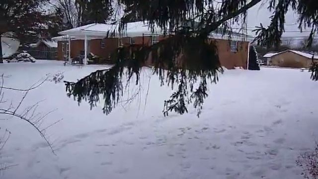 Backyard 360 Panoramic View, January 2010