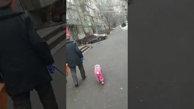 25.01.2020 Алматы Сатпаева/Гагарина движение по тротуару смотреть онлайн