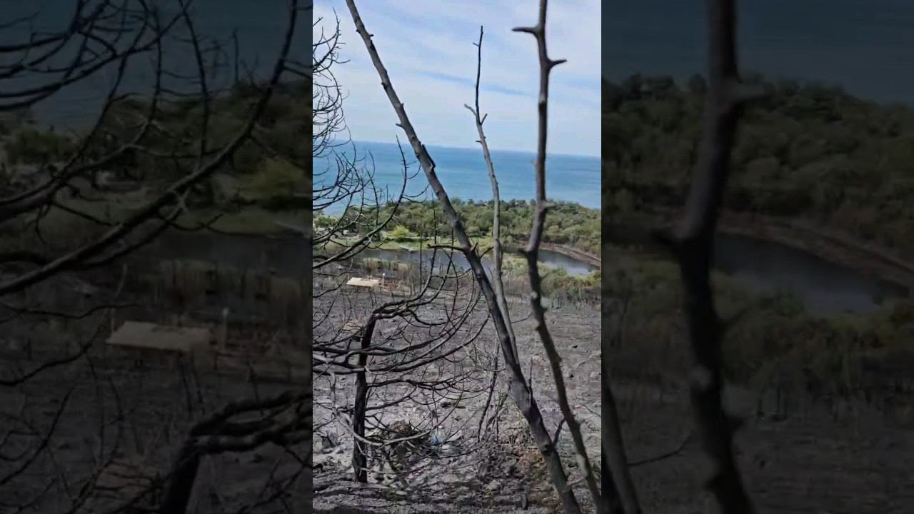 Огненный апокалипсис в Дюрсо. Курорт на выжженной земле. смотреть онлайн