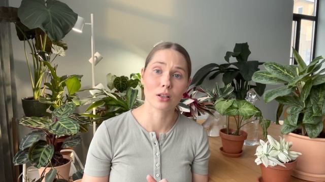 IKEA. Полезности для растений. смотреть онлайн