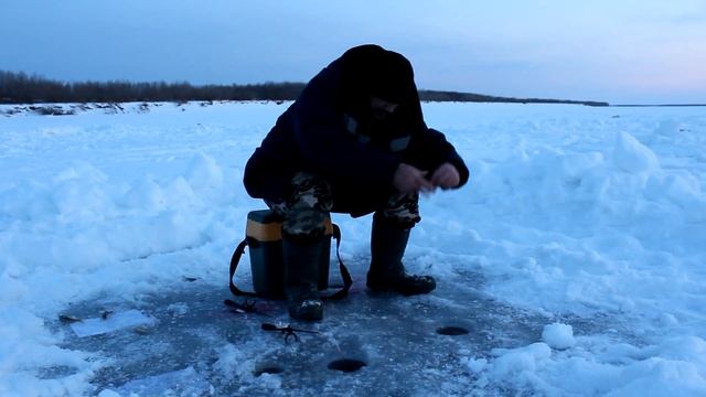 Подледная рыбалка в Якутии на реке Лена смотреть онлайн