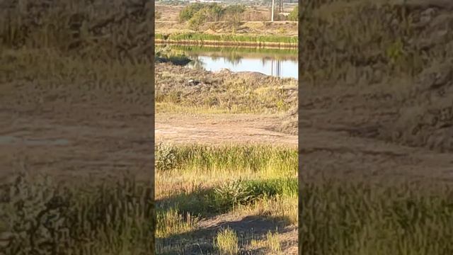 Городской водоем, стал посещать чаще.Окунь радует. смотреть онлайн