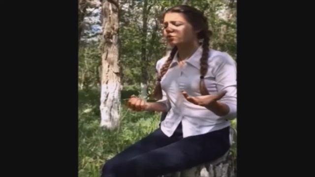 Пушкин А.С."Пророк" смотреть онлайн