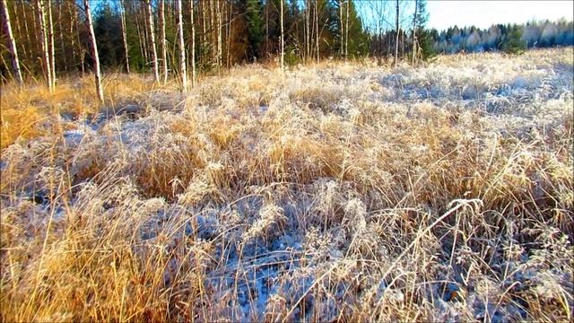 Сводка ПРИРОДЫ на ноябрь 2022 смотреть онлайн