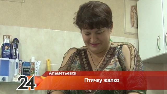 Жительница Альметьевска приютила дома раненую дикую птицу смотреть онлайн