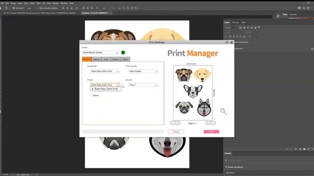 How to use Sawgrass Printer with Adobe Photoshop on a Windows Computer смотреть онлайн