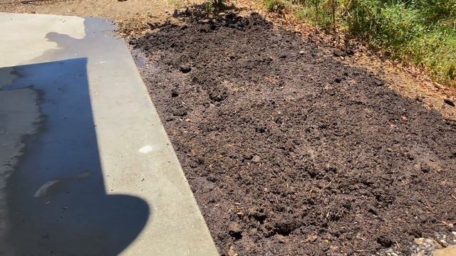 Planting a Limelight Hydrangea Hedge 🌳//Garden with Glamour смотреть онлайн