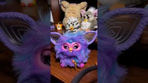 We're Back! 2023 Furby Test Mode with The Furby Queen Livestream