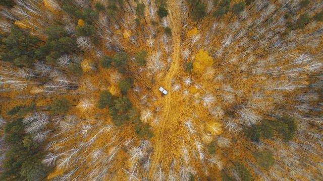 FLYING OVER THE TAIGA (4K UHD) - Beautiful natural landscapes of late autumn with relaxing music смотреть онлайн