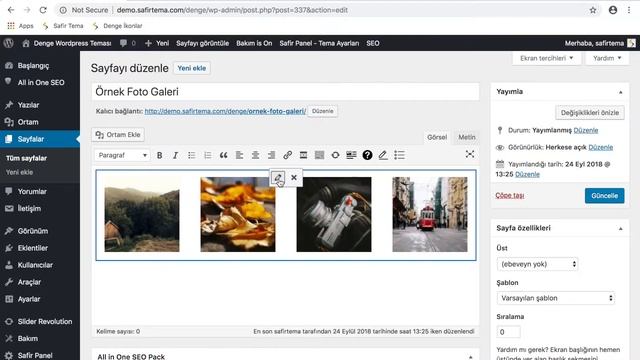 Denge Wordpress Teması - Foto Galeri Sistemi смотреть онлайн