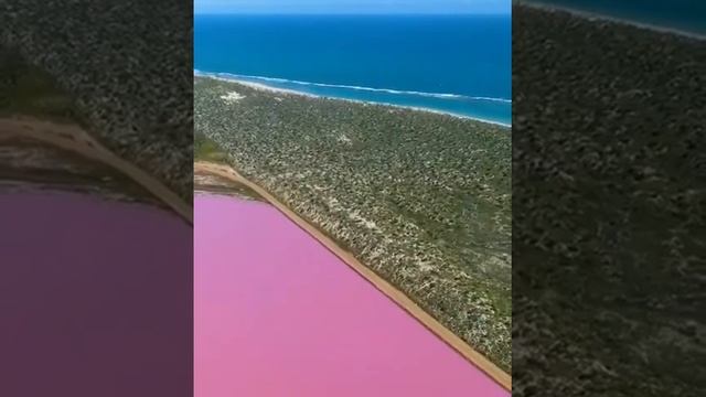 Розовое Озеро? австралия