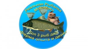 Топ 3 рыб для фарма опыта и денег [АРХИВ] | Реальная Рыбалка.