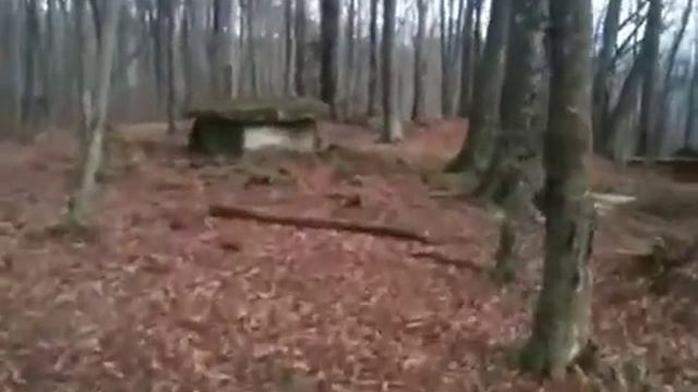 Дальмены смотреть онлайн