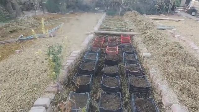 Qashqadaryo viloyati Koson tumani Poʻlati shaharchasi 97 313 58 08 # 88 867 48 00 смотреть онлайн