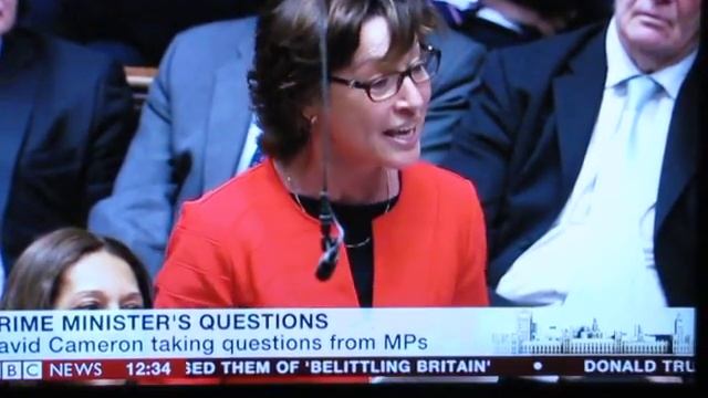 David Cameron refuses to protect ancient woodland. смотреть онлайн