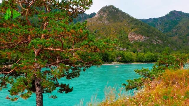 БИРЮЗОВАЯ КАТУНЬ - Вид 1 - Трейлер - Живая Картина 16:9 смотреть онлайн