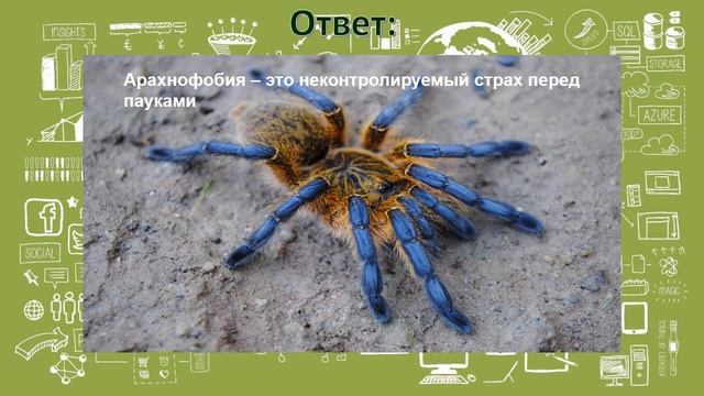 Виртуальная викторина о науке. смотреть онлайн