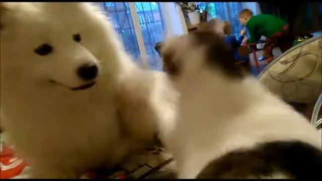 Уютные веселушки смотреть онлайн