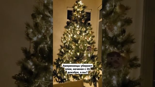Когда американцы убирают елки? Рождество в Америке США смотреть онлайн