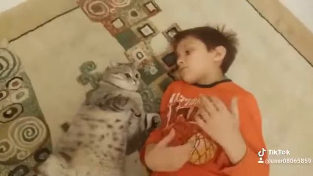 Сын рассказывает стих коту смотреть онлайн