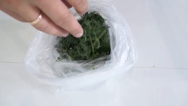 Малосольные ХРУСТЯЩИЕ ОГУРЧИКИ в пакете ОТЛИЧНАЯ ЗАКУСКА рецепт смотреть онлайн