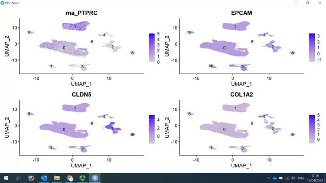 Single Cell Data Integration: Mapping and Annotating Query Datasets смотреть онлайн