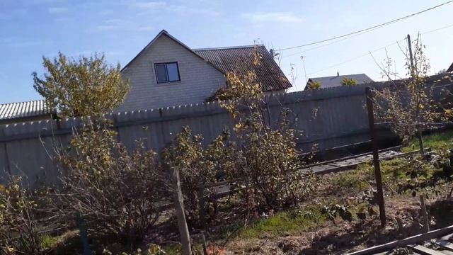 #лайфак эфективная подкормка плодовых деревьев осенью /обрезка сада /минеральные удобрения /мой САД смотреть онлайн