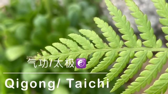 Qigong/Taichi Music 2022