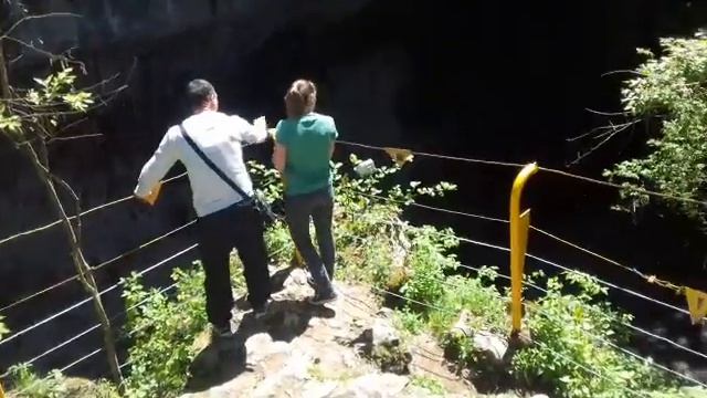 Зоопарк в Майкопе смотреть онлайн