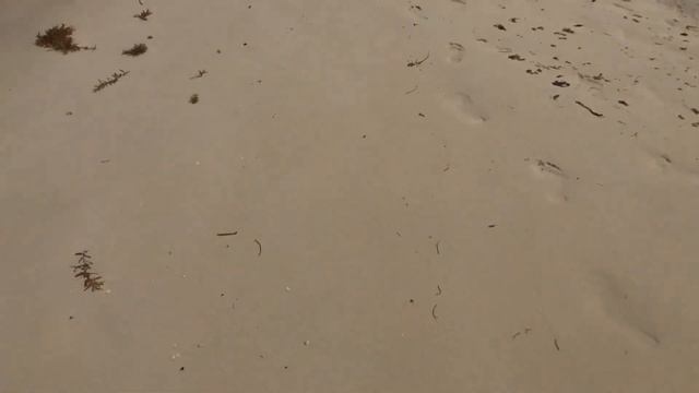 Обзор отеля Tryp Cayo Coco/Остров Кайо Коко (Куба)март 2021