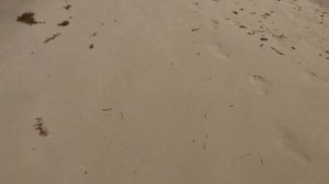 Обзор отеля Tryp Cayo Coco/Остров Кайо Коко (Куба)март 2021