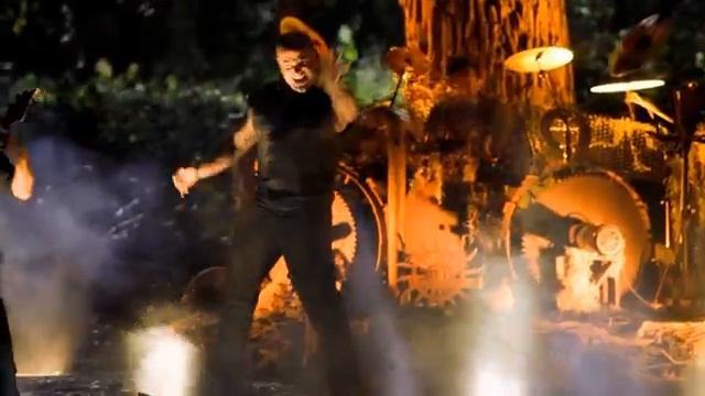 Disturbed-the-animal