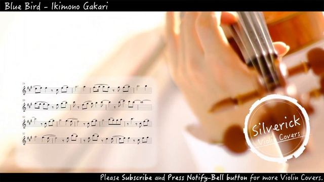 “Blue Bird” Naruto Shippuden OP3 (Violin Cover) смотреть онлайн