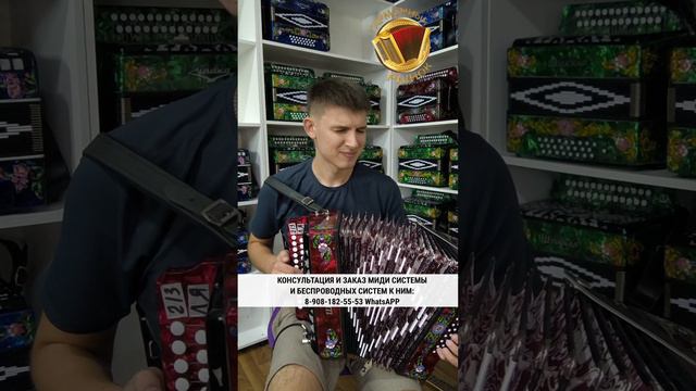 Исполнил легендарную песню на миди гармони! #гармонь #midi #электрогармонь #купитьгармонь смотреть онлайн